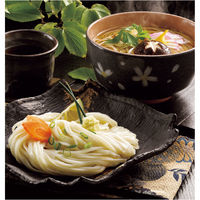 サニーフーズ 氷見うどんセット FGC-201 1セット（直送品） - アスクル