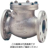 キッツ ステンレス鋼製汎用スイングチャッキバルブ10K 6 10UOA-150A 1