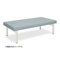 高田ベッド製作所 有孔外脚H型DXベッド 幅70×長さ180×高さ60cm 白 TB