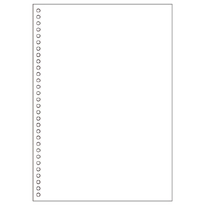 ヒサゴ A4白紙30穴 BPE2049 1箱(2500枚入) - アスクル