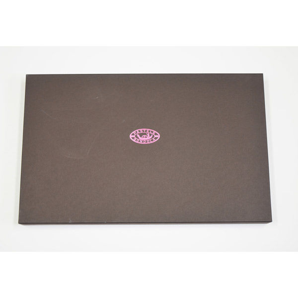 王冠化学工業所 ゴンドラパステル242色セット GPS-242 1個（直送品