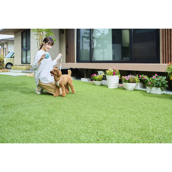 アイリスオーヤマ 防草人工芝 1m×5m BPー3015R 1枚 防草・防カビ機能