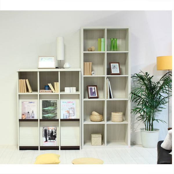 白井産業 セパルテック 重厚感のある本棚 フラップ扉 飾り棚 A4対応