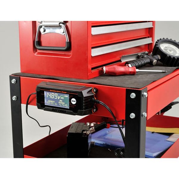 デイトナ ディスプレイバッテリーチャージャー 91875（直送品） - アスクル