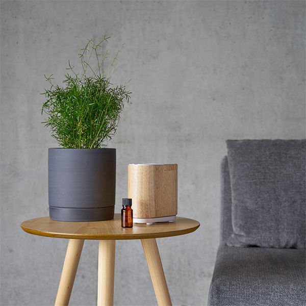 生活の木 アロマディフューザー アロモア ウッド 1個 - アスクル