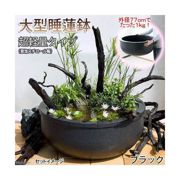 チャーム 大型睡蓮鉢(メダカ鉢)超軽量タイプ(約1kg)ブラック 34491 1個