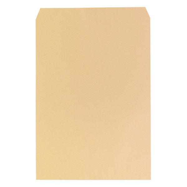 寿堂 大型封筒 クラフト B3 マチなし 10枚パック 10033（直送品