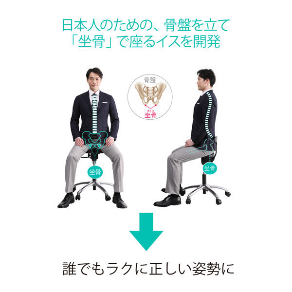 アーユル・チェアージャパン アーユル・チェアー ゼロワン ブラック