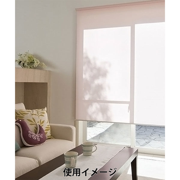 タチカワブラインド ロールスクリーン TIORIO（ティオリオ） ブラウン