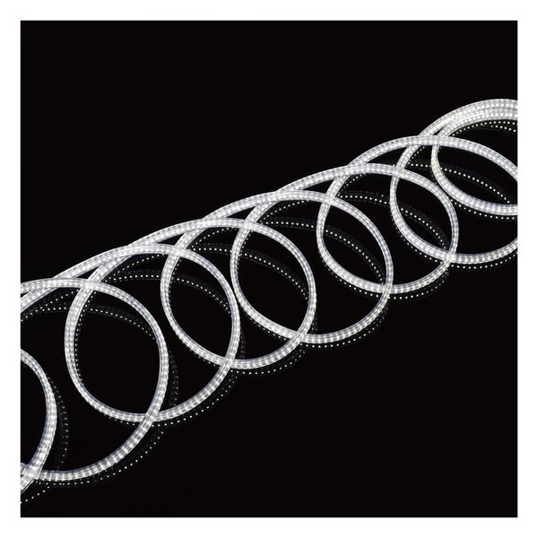 日動工業 LEDコネクトライン 両面発光 10m LECN-R10LA-W-200V 1個