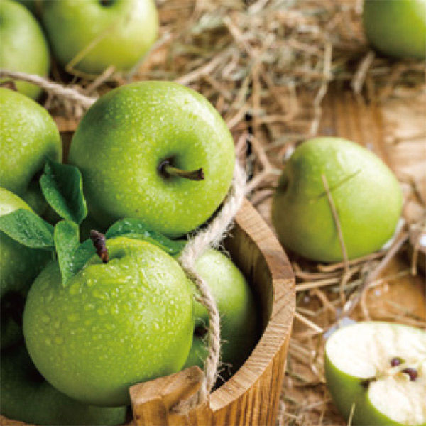 アントレックス フレグランスアンシャンテッドアップルAirQ160