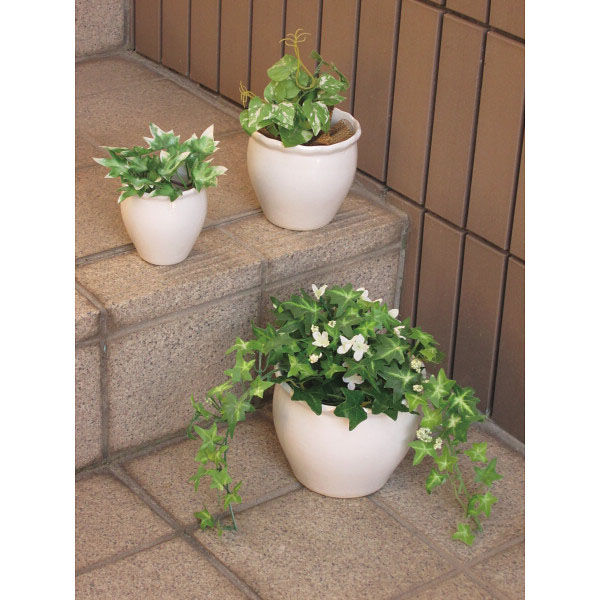 有限会社大和工業 【2箱セット】陶器植木鉢3点セット 23-8236-570 1