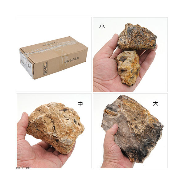 カミハタ 木化石 レイアウトセット 形状おまかせ 4971664964785 1