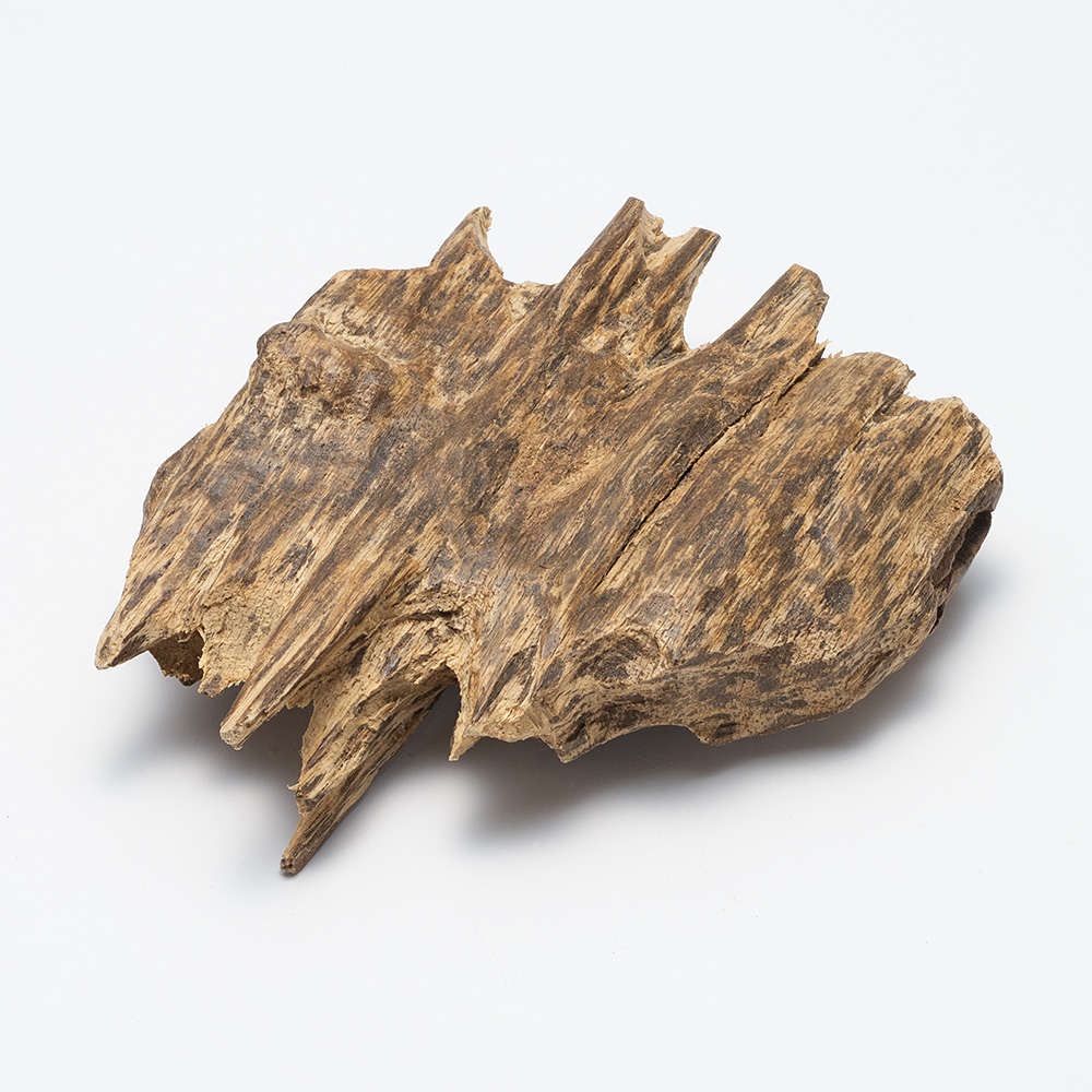 プレミアム沈香(じんこう) 原木姿物 沈水 「沈梗」 極上シャム沈香 45g