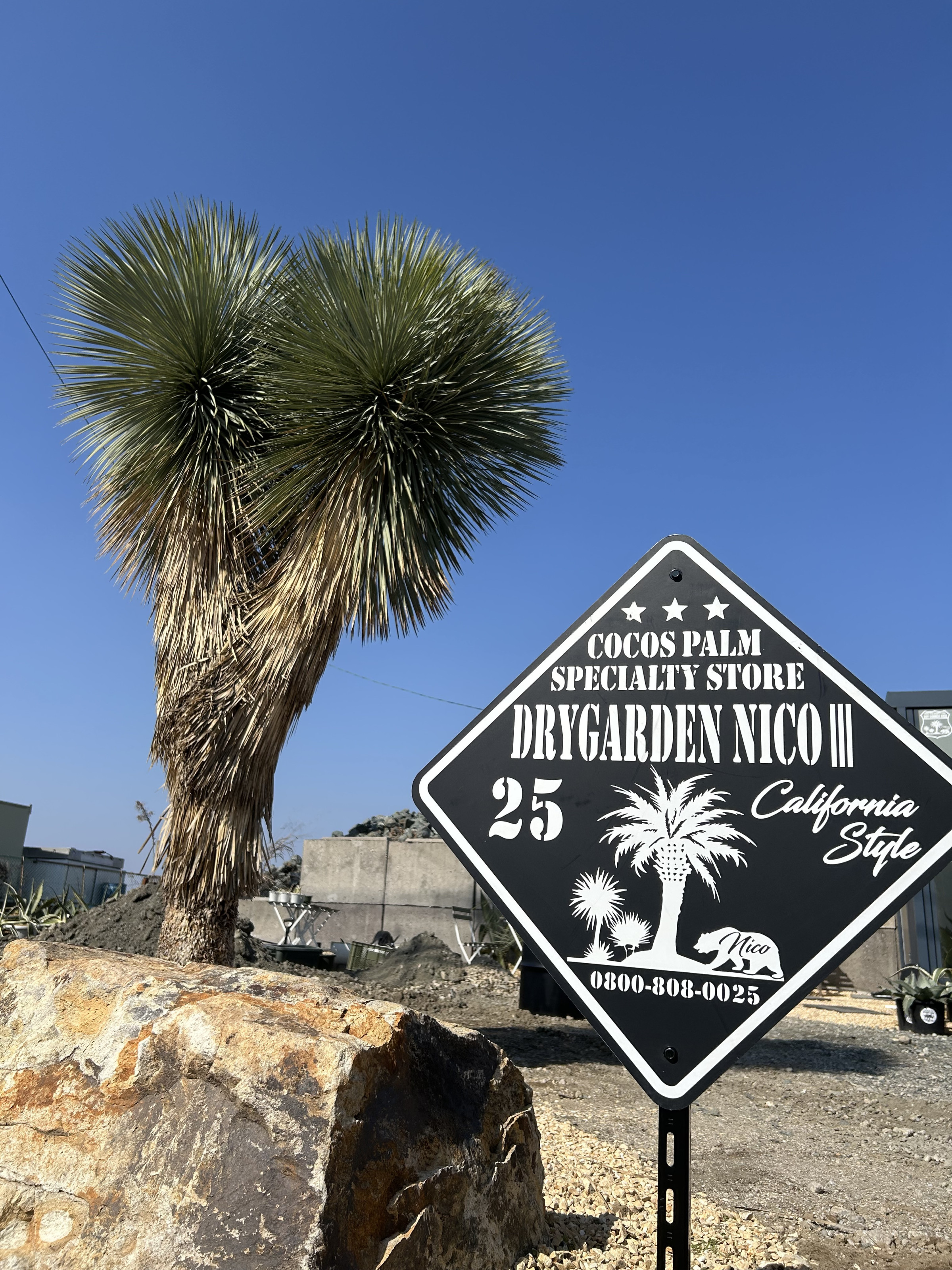 ココスヤシ専門販売店 DRYGARDEN Nico 福岡県久留米市田主丸町豊城1398-5