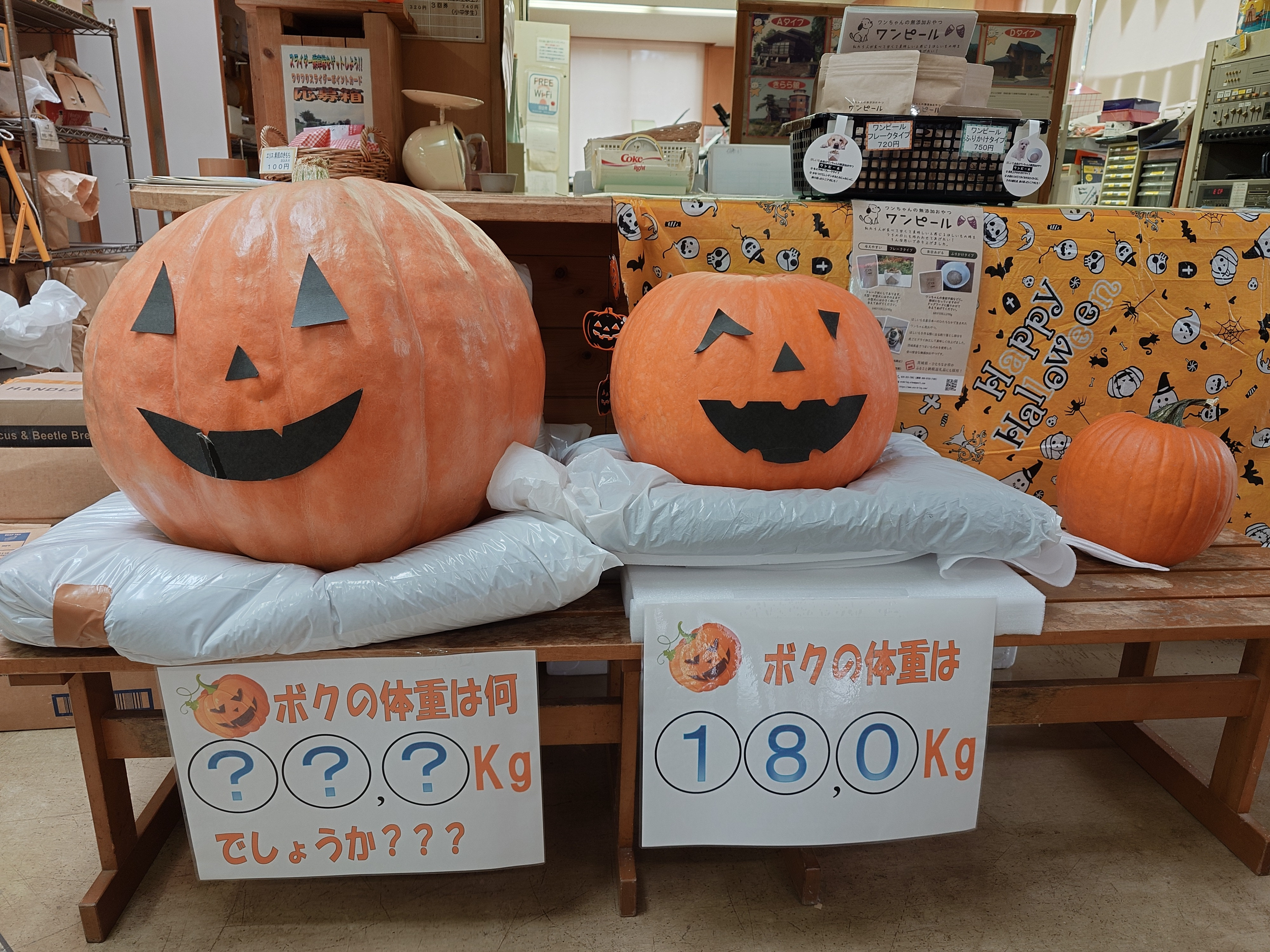 ジャンボかぼちゃの重量当て - 奥日立きららの里