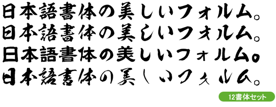 昭和書体12書体セット (JIS2004字形同梱版) Win版 by 昭和書体