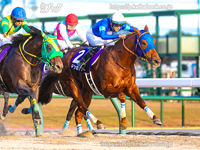 レモンポップが引退、種牡馬に | ニュース | 競馬ブック