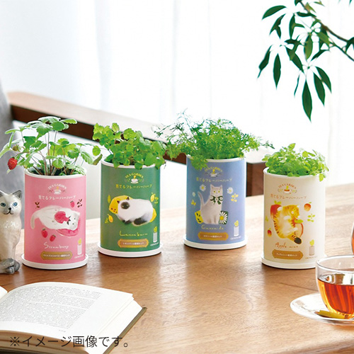 聖新陶芸 育てるフレーバーハーブ GD1025－4 カモミール｜【ハンズ