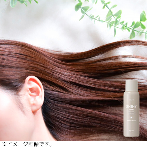 ハンズ（HANDS） つや出しヘアスプレー 無香料 80g｜【ハンズネット