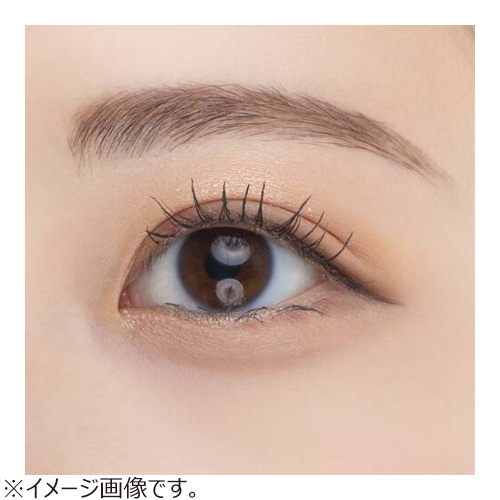 セザンヌ（CEZANNE） 耐久カールスリムマスカラ S1 ブラック｜【ハンズ