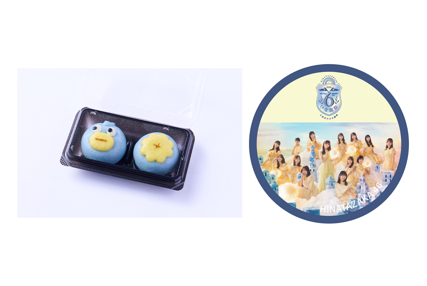 6回目のひな誕祭 | 日向坂46公式サイト