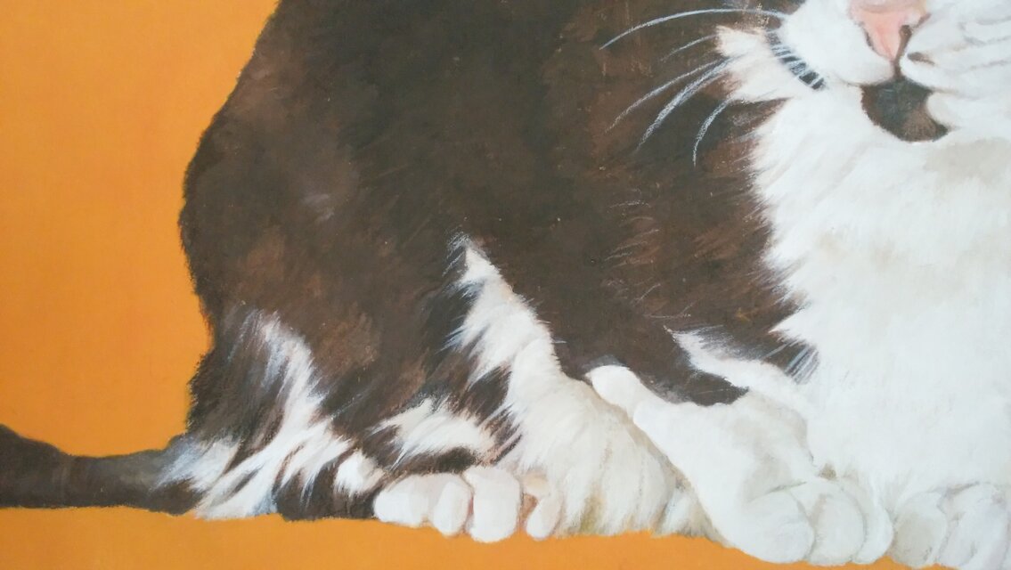 猫イラスト「なにみてるの？」原画（アクリル板つき） | iichi 日々の