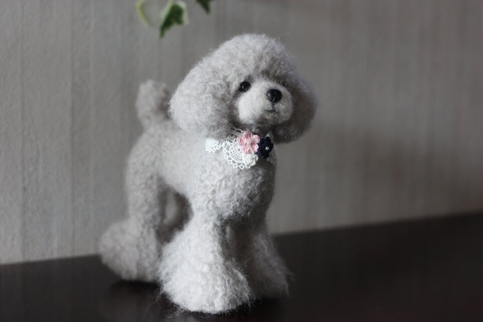 シルバートイプードル。。。羊毛フェルト | iichi 日々の暮らしを