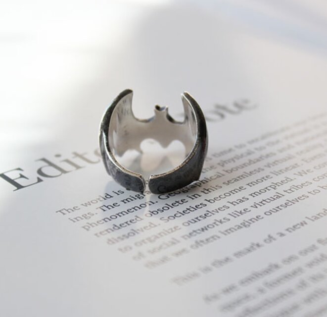 受注制作＞コウモリのリング 個性的 0095 | iichi 日々の暮らしを