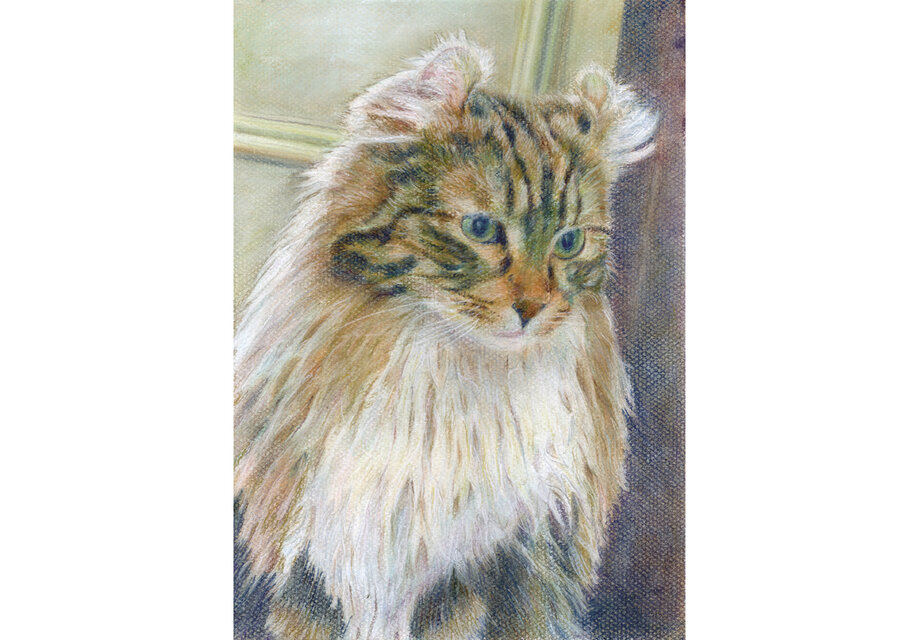 パステル画 猫「ねこ ＃001」 | iichi 日々の暮らしを心地よくする