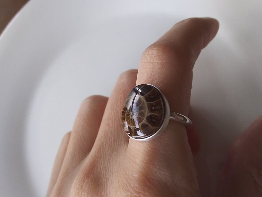 迷宮のリング アンモナイト化石 | iichi 日々の暮らしを心地よくする