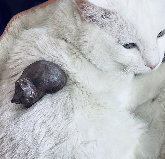 備前焼 猫（小サイズ）1 | iichi 日々の暮らしを心地よくする