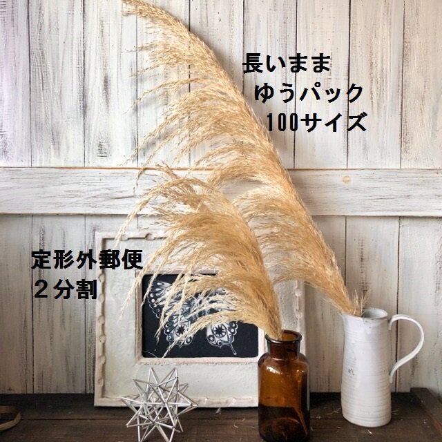 パンパスグラス 美品 80～85cm1本 ドライフラワー花材 インテリアや