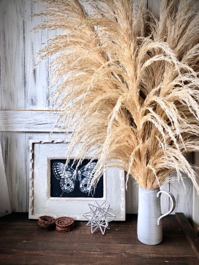 パンパスグラス 美品 80～85cm1本 ドライフラワー花材 インテリアや