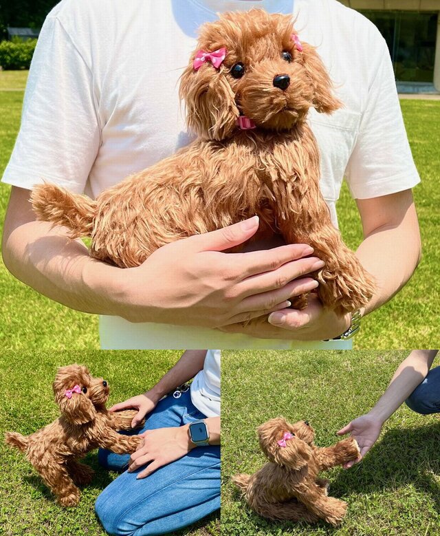 Woderful Alice トイプードル レッド No.3 犬 ぬいぐるみ リアルサイズ