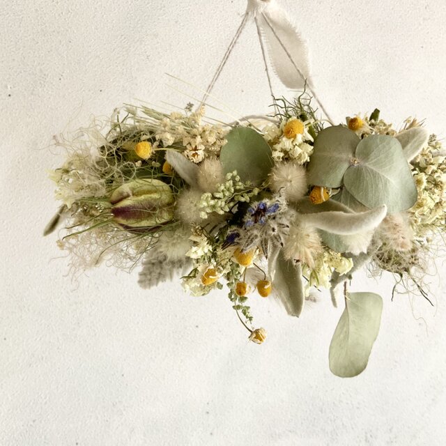 初夏のフライングリース ハーブとスモークツリー | iichi 日々の暮らし