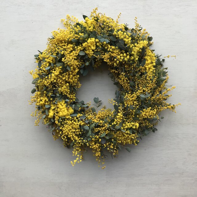 2024年最終予約♪】フレッシュミモザのリース 25㎝ | iichi 日々の