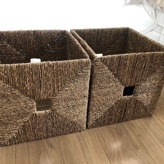 クニプサの中古が安い！激安で譲ります・無料であげます｜ジモティー