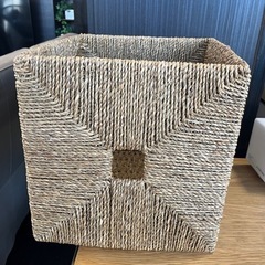 クニプサの中古が安い！激安で譲ります・無料であげます｜ジモティー