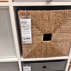 クニプサの中古が安い！激安で譲ります・無料であげます｜ジモティー