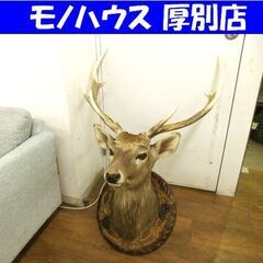 エゾシカの中古が安い！激安で譲ります・無料であげます｜ジモティー