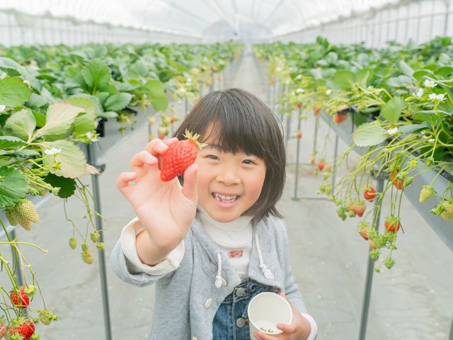 ひさだ苺農園】予約・アクセス・割引クーポン - じゃらんnet