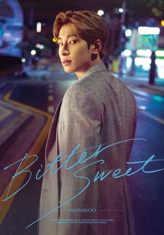 SEVENTEEN ウォヌ、デジタルシングル「Bittersweet」キャラクター