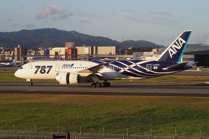 ANA：「サバ機」最後の姿 B787の2号機塗り替えへ | 毎日新聞