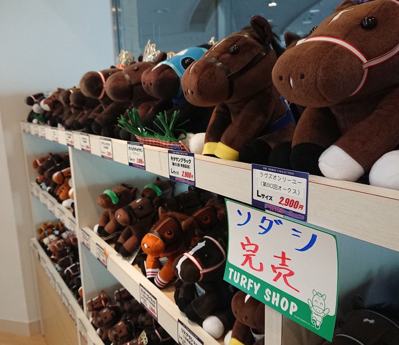 人気急上昇の白毛馬ソダシ 専門家も認める「別格」のアイドルに | 毎日新聞