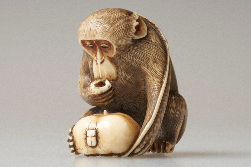美をつくし展：／中 猿牙彫根付 迫真的な毛並みや皺 ／福島 | 毎日新聞