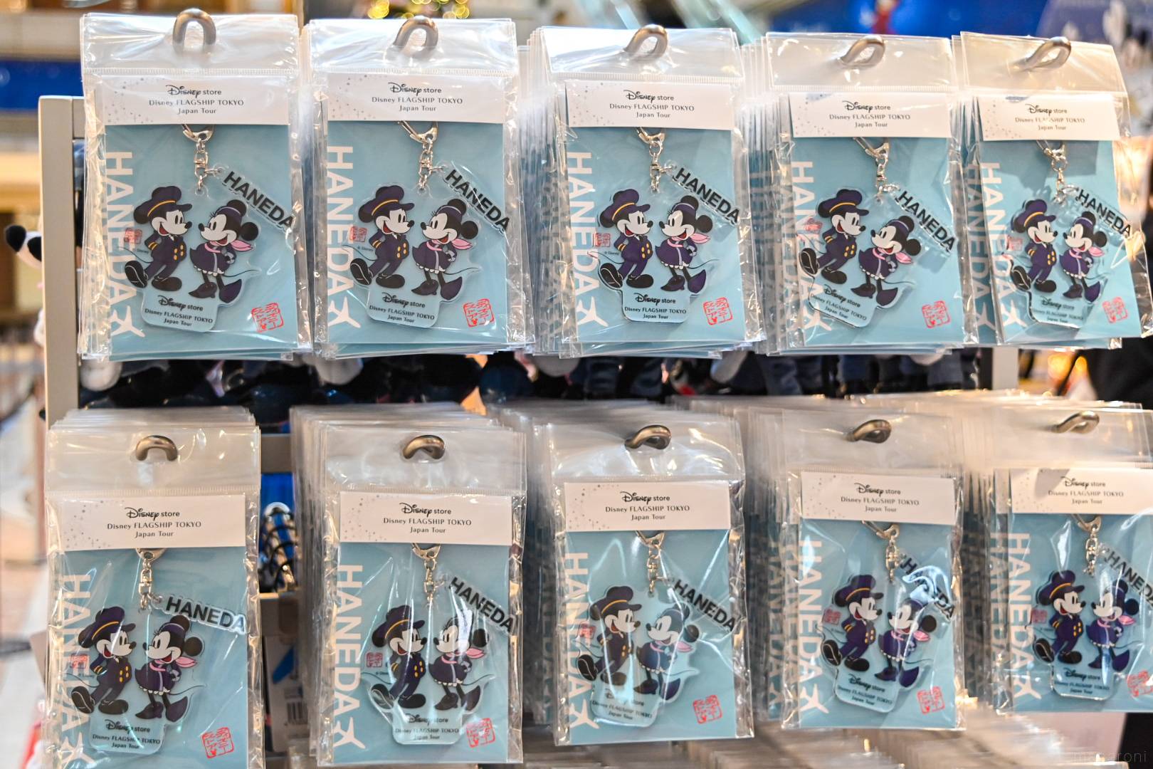 マニアが「ディズニーフラッグシップ東京ジャパンツアー」@羽田空港を