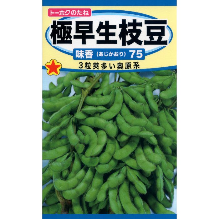 トーホク エダマメ 極早生枝豆味香75の通販｜エダマメ｜野菜の種