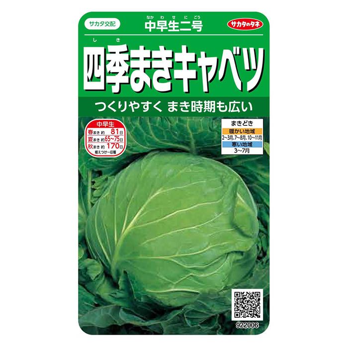 緑単キャベツ デュエマ 緑単グランセクト 緑単キャベッジ キャベツ 調整パーツ