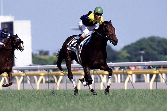 2020年8月9日はキングカメハメハの1周忌 “最強の大王”の強さを語り継ぐ